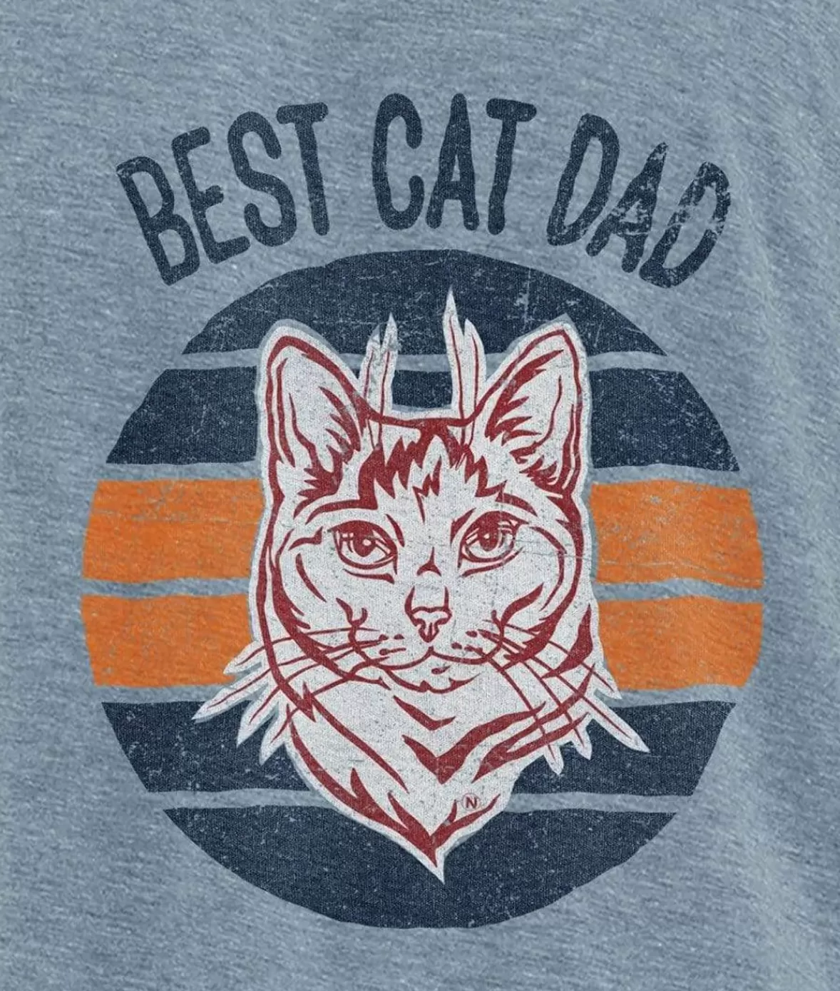 Men'S Ridiculously Soft Lightweight Graphic Tee | Best Cat Dad | Nayked Apparel Discount